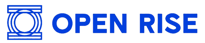 openrise.online